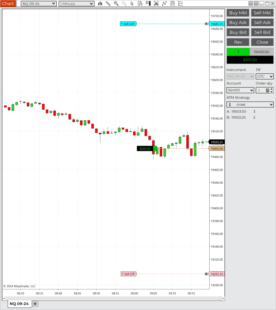 Screenshot of NinjaTrader showing take profit and stop loss orders on chart